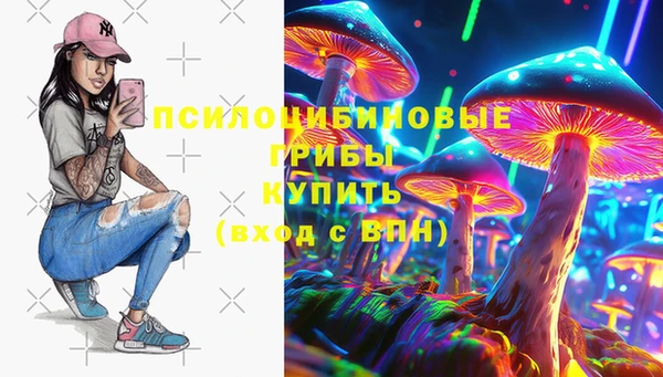 ПСИЛОЦИБИНОВЫЕ ГРИБЫ Богородицк
