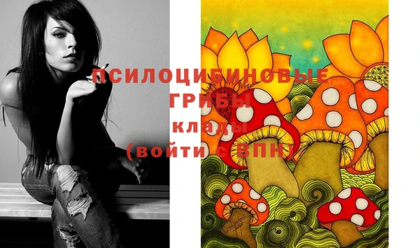 ПСИЛОЦИБИНОВЫЕ ГРИБЫ Богородицк
