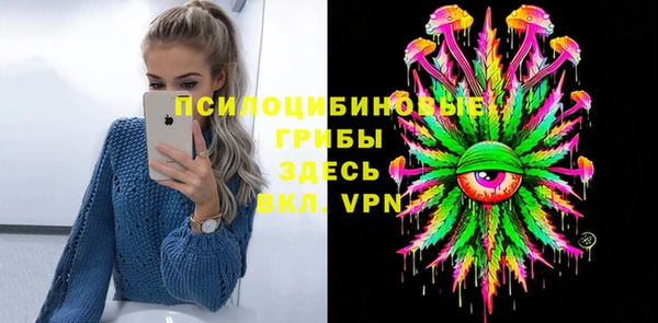 ПСИЛОЦИБИНОВЫЕ ГРИБЫ Богородицк
