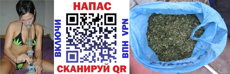 Бошки марихуана Bruce Banner магазин наркотиков Палласовка